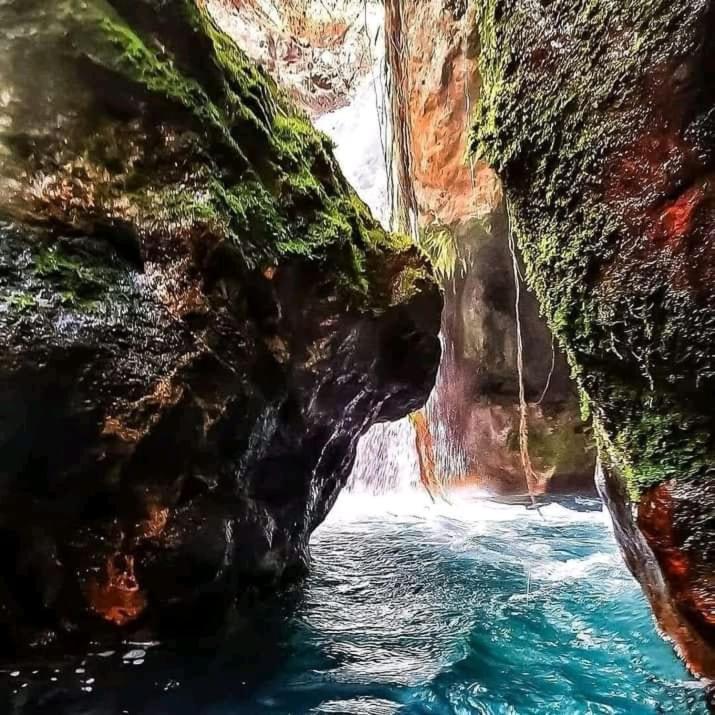 Guayabo  Pochote Lodge מראה חיצוני תמונה