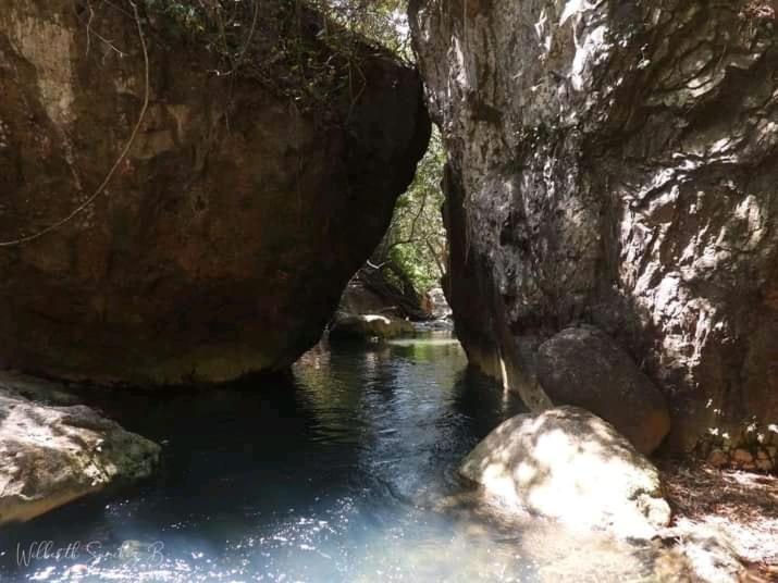 Guayabo  Pochote Lodge מראה חיצוני תמונה