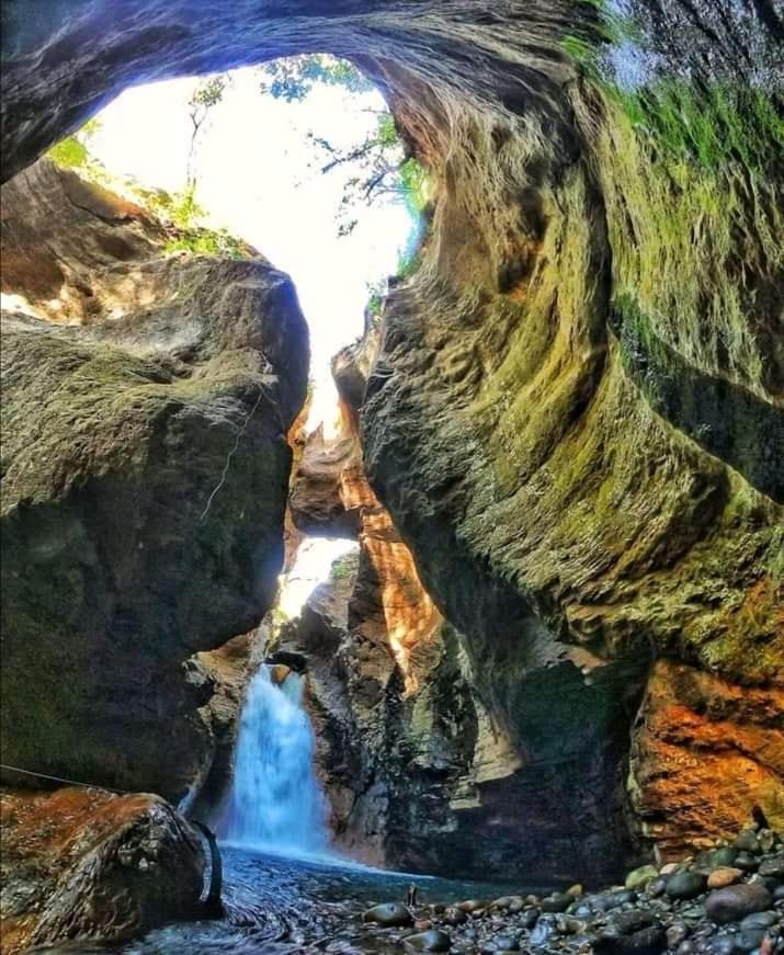 Guayabo  Pochote Lodge מראה חיצוני תמונה