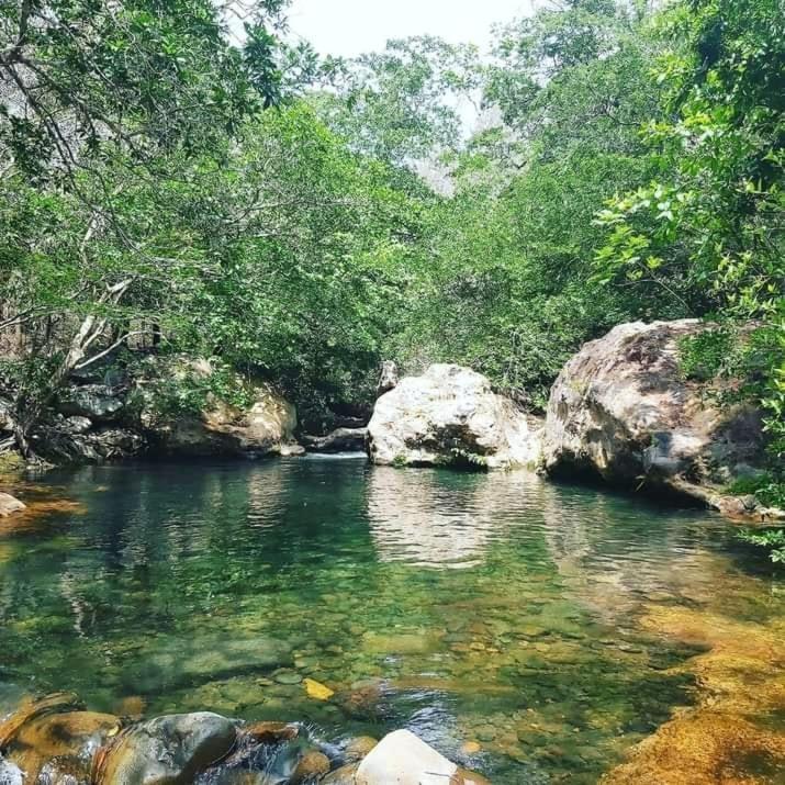 Guayabo  Pochote Lodge מראה חיצוני תמונה