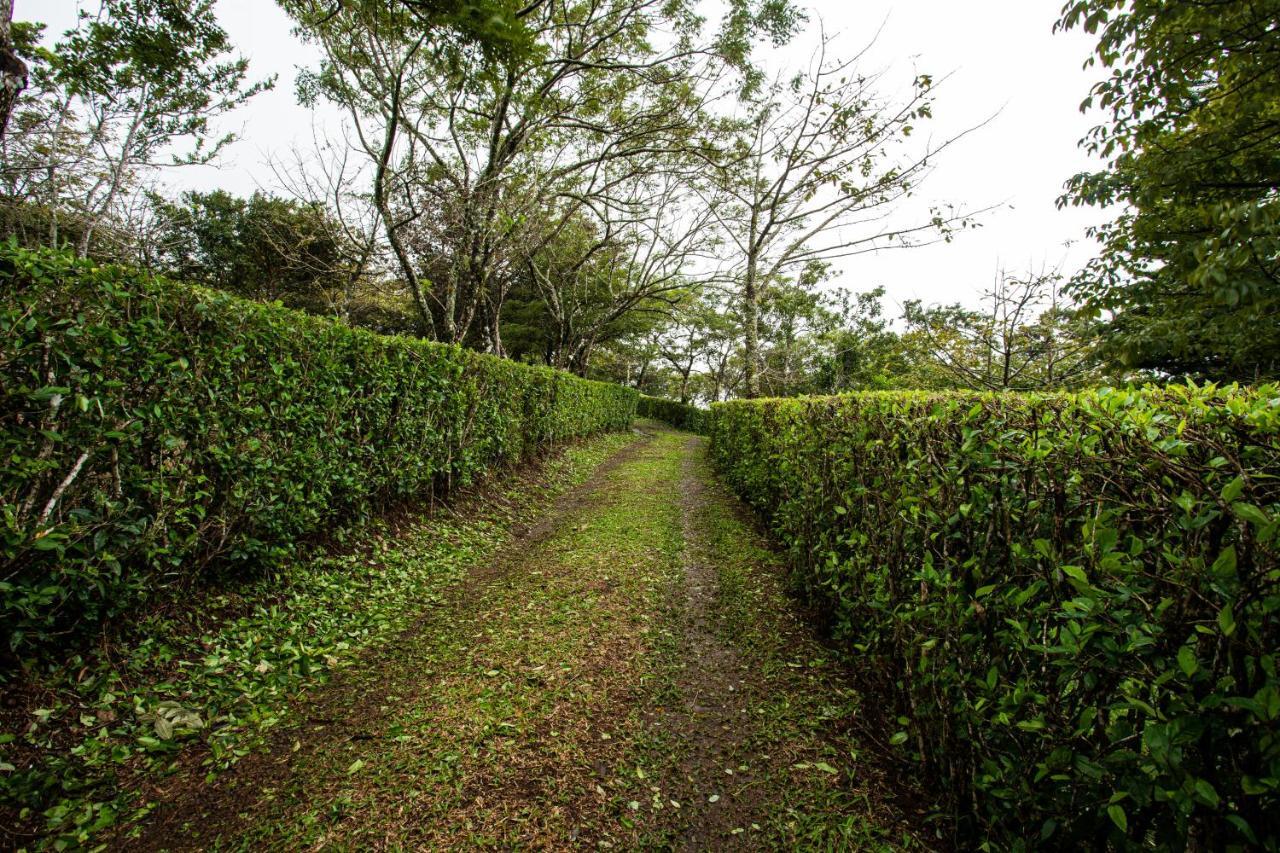 Guayabo  Pochote Lodge מראה חיצוני תמונה